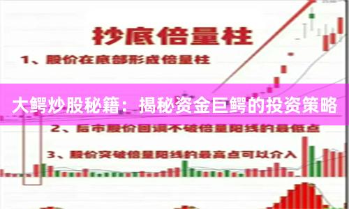 大鳄炒股秘籍:揭秘资金巨鳄的投资策略